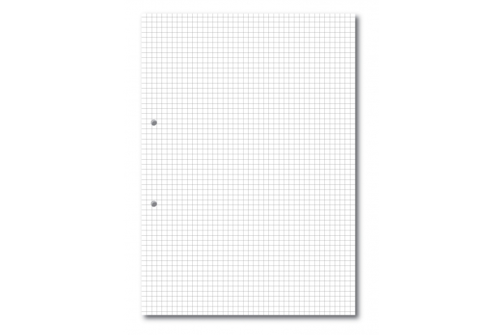 Popular Exercise Paper A4 5mm Squares 2 Hole Punched Pk500 Sheets