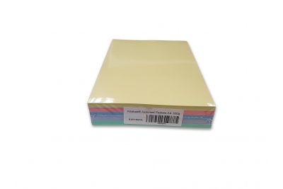 Kaskad Coloured Paper Assorted Pastels A4 160gsm Pk250 Sheets