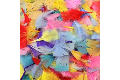 Feathers - coloured 50g