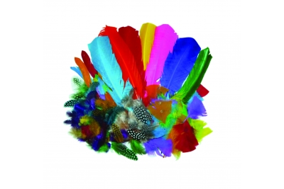 Popular Feathers Assorted Styles & Colours 100g
