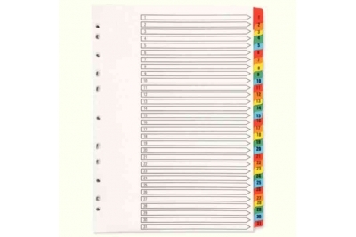 Popular A4 White Board Multi-Colour Tabbed Indexes 1-31