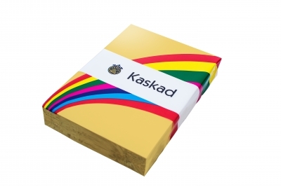 Kaskad Coloured Paper Pintail Cream A4 160gsm Pk250 Sheets