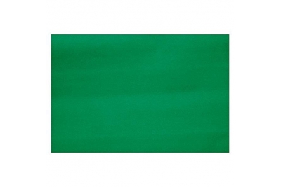 Popular Fadeless Roll Extra Wide Emerald 1218mm X 15m 85 gsm Pk 1