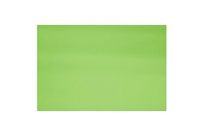 Popular Fadeless Roll Extra Wide Nile Green 1218mm X 15m 85gsm Pk 1